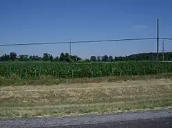 Cornfields along Interstate 75