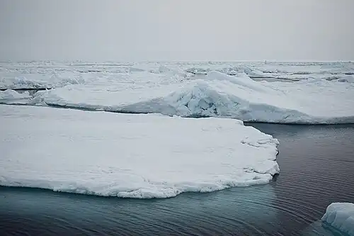 A first-year sea ice ridge in the Central Arctic, photographed by the MOSAiC expedition on 4 July 2020