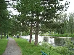 Salmon Fishermen on the pit "The Forks" (Les Fourches)