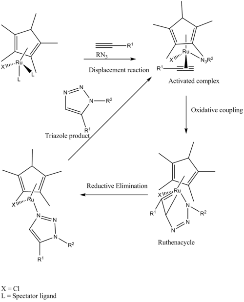 Mechanism for ruthenium-catalysed click chemistry