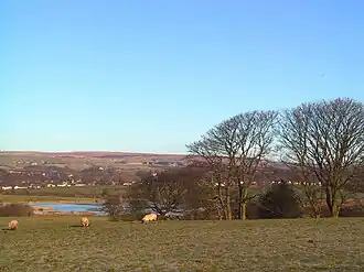 A landscape of trees, hills and a small body of water