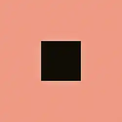 A black square on a salmon-colored background