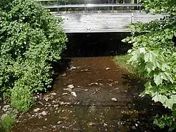 Six Mile Run crossing Cozzens Lane