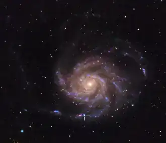 SN2023ixf imaged one day after its discovery