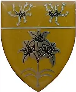 Maltahohe Commando Insignia