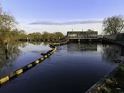 Upstream side of the plant