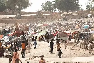 Sudanese refugee camp in Chad during Sudanese civil war (2023).