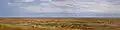 Scroby Sands wind farm panorama
