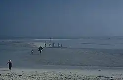 A diver looking out at a beautiful coral reef.