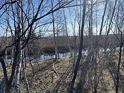 Lac-à-la-Tortue Bog, Route 359 (Lac-à-la-Tortue Road)