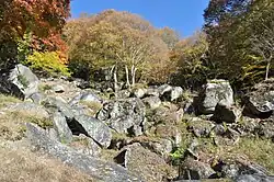 Garden (stone garden, prefectural scenic beauty, viewed from Ishiwa Kaikan, taken November 7, 2017)