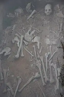Pit with human skeletons