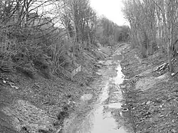 The disused railway line (pictured in 2011)