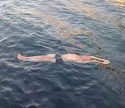 Yashtikasana (Victor Skumin floating in the pose)