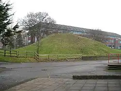 Montem Mound, Slough