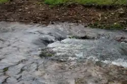 This is a slow-moving stream with few big rocks
