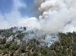 Snake Ridge Fire burning on May 28, 2017