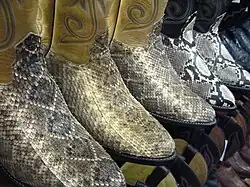 Snakeskin boots in Arizona
