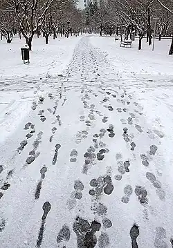 Snow in Mashhad, December 2012