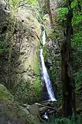 Soda Creek Falls at Cascadia County Park.
