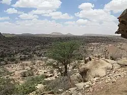 The Somaliland countryside