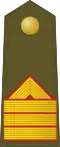 Sargento primero (Spanish Army)[28]