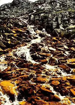 Spring in the Zillertaler Alps with Fh precipitate