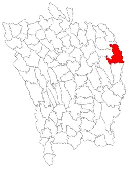 Location in Vaslui County
