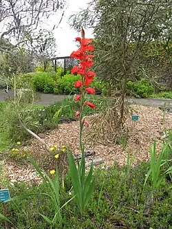 Kula Botanical Garden, Hawaii