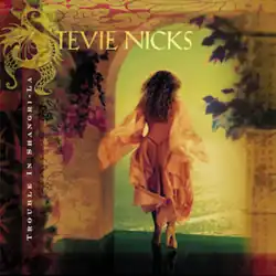 A portrait of Stevie Nicks facing away from the viewer, looking through an archway