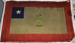 A surviving copy of the first state flag.