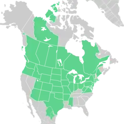 Symphyotrichum ericoides native distribution map: Canada — Alberta, British Columbia, Manitoba, Northwest Territories, Ontario, Québec, and Saskatchewan; Mexico — Coahuila and Nuevo León; US — Arizona, Arkansas, Colorado, Connecticut, Delaware, District of Columbia, Idaho, Illinois, Indiana, Iowa, Kansas, Maine, Maryland, Massachusetts, Michigan, Minnesota, Mississippi, Missouri, Montana, Nebraska, New Jersey, New Mexico, New York, North Dakota, Ohio, Oklahoma, Oregon, Pennsylvania, Rhode Island, South Dakota, Texas, Utah, Vermont, Virginia, Washington, West Virginia, Wisconsin, and Wyoming.