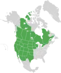 Map of North America with green shading. Data source Brouillet et.al., Flora of North America