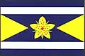 Flag of Třešovice
