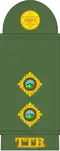 Lieutenant (Trinidad and Tobago Regiment)[78]