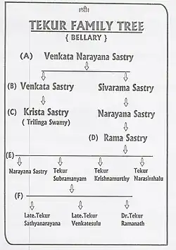 Family tree of Tekur Subramanyam