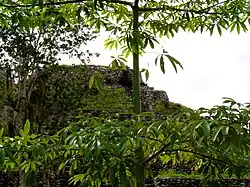 Temple pyramid at Chacchoben from tourist pathway