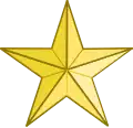 Texas Navy Midshipman Collar Insignia