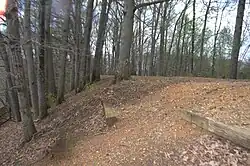 This is the railroad bed, looking West, of the Chesterfield Railroad over Pocoshock Creek in Chesterfield County, Virginia.
