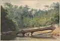 Demerara River, Guyana, 1855