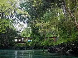 The waterline of the springs with the enclosed boardwalk going straight across the photo. Trees with green leaves surround the shoreline.