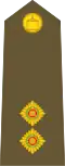 Lieutenant (Tongan Land Component)[77]
