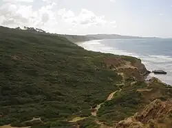Torrey Pines State Natural Reserve