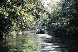 5. Tortuguero Canals (Spanish: Canales de Torguero)