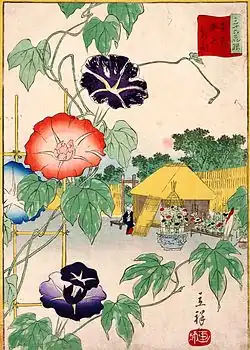 "Morning Glories in Iriya, Eastern Capital" (1866), No 28 of "The Thirty-six Selected Flower Scenes" by Hiroshige II