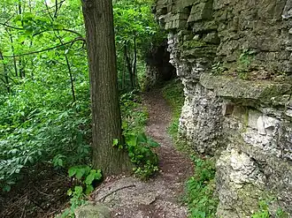 Trail adjacent to the escarpment