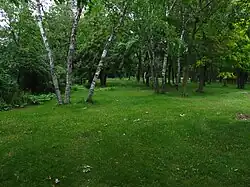 A grassy area surrounded by woods with a picnic table.