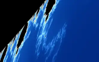 40 times the original zoom. The seahorse can be fully seen now.