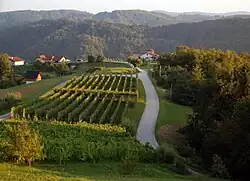 Trščina, lower part (August&nbsp;2016)