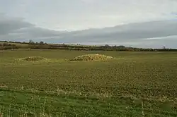 Bowl barrow 250 m south east of Tyning's Farm: part of the Tyning's Farm round barrow cemetery